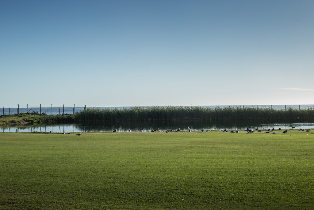 Club de Golf Cachagua